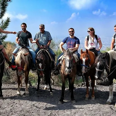 Mola Oda ve Kahvaltı
